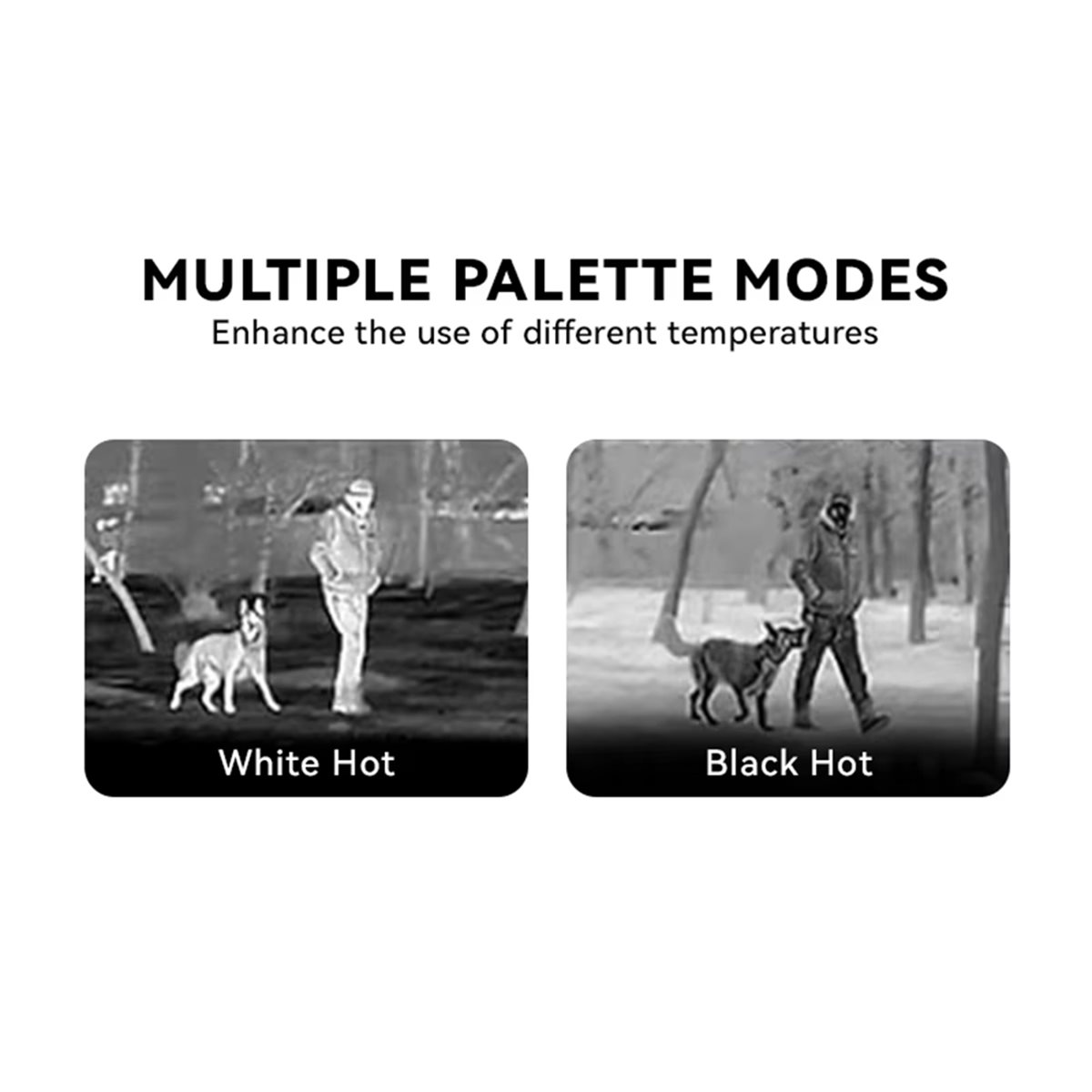 Modul Pencitraan Termal Infram - Thermal Imaging Camera 256X192 ulasan dan harga